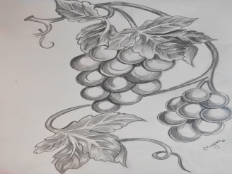 skillnook drawing video